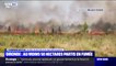 Feu en Gironde: la préfète Fabienne Buccio annonce que "200 hectares ont déjà brûlés et le feu n'est pas encore circonscrit"