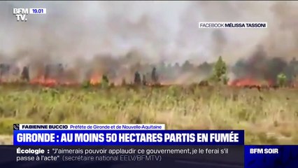 Feu en Gironde: la préfète Fabienne Buccio annonce que "200 hectares ont déjà brûlés et le feu n'est pas encore circonscrit"