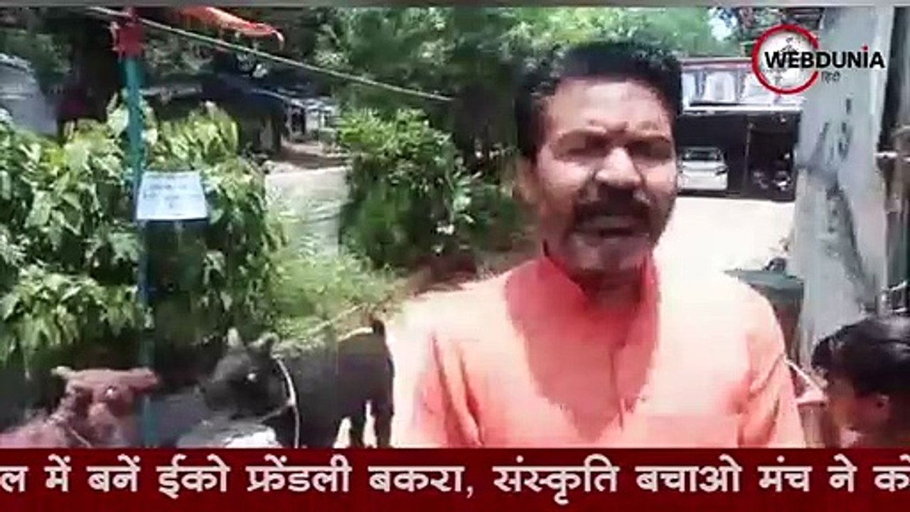 बकरीद पर संस्कृति बचाओ मंच की अपील, ईको फ्रेंडली बकरे की दें कुर्बानी