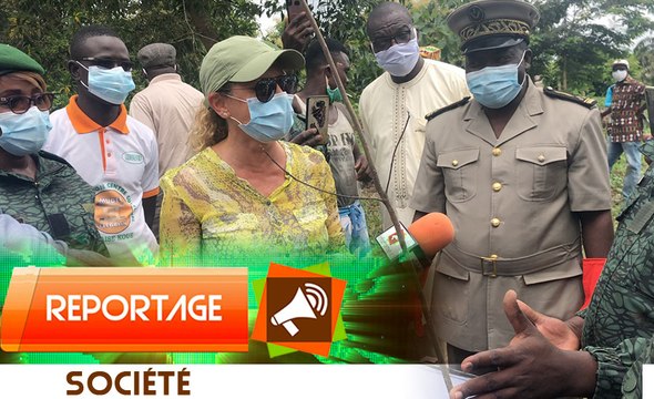 Lutte contre la déforestation, la fondation Nady RAYESS s'implique dans le reboisement en Côte d'Ivoire