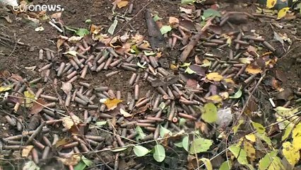 Começou cessar-fogo em Donbass entre Ucrânia e rebeldes separatistas