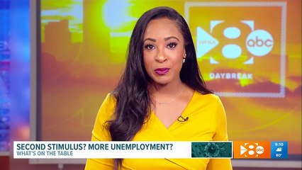 Second Stimulus Proposal | Cathy DeWitt Dunn on WFAA
