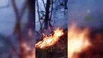 Örtü yangınında 3 hektarlık alan zarar gördü - SAMSUN