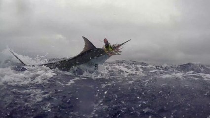 Visions of Granders: The Lockdown Continues