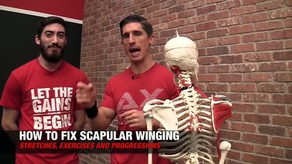 Cómo Corregir La ESCAPULA ALADA (SERRATO ANTERIOR) ¡Paso a Paso!