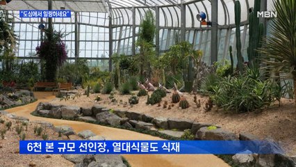 "코로나 걱정 없어요"…도심 속 힐링공간 '인기'