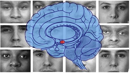 The problem with implicit bias trainings