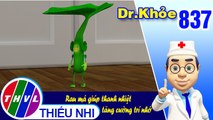 Dr. Khỏe - Tập 837: Rau má giúp thanh nhiệt tăng cường trí nhớ