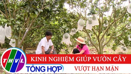 Nông nghiệp bền vững: Kinh nghiệm giúp vườn cây vượt hạn mặn