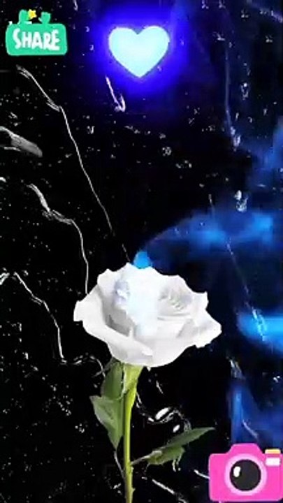 Short song Hindi movie2