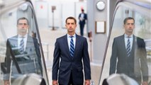 Republican Senator Tom Cotton Of Arkansas Calls Slavery A 'Necessary Evil'