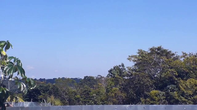 [SBEG Spotting]Boeing 767-300ER PT-MSX na final antes de pousar em Manaus vindo de Guarulhos