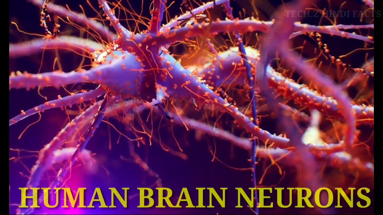 Electron Microscope images | Images by Electron Microscope