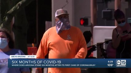 Six months of COVID-19 in Arizona