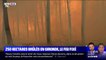250 hectares de pins brûlés... Les images du plus important feu de forêt depuis le début de l'été en Gironde