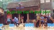 Sea lion high jump & funny games/Sea lion show safari world Bangkok/ Funny smart cute sea lion amazing activities