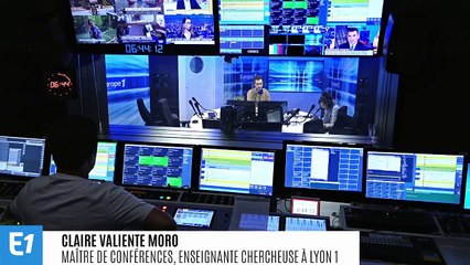 Claire Valiente Moro : "Dans plus de la moitié des départements le moustique tigre est présent et actif"
