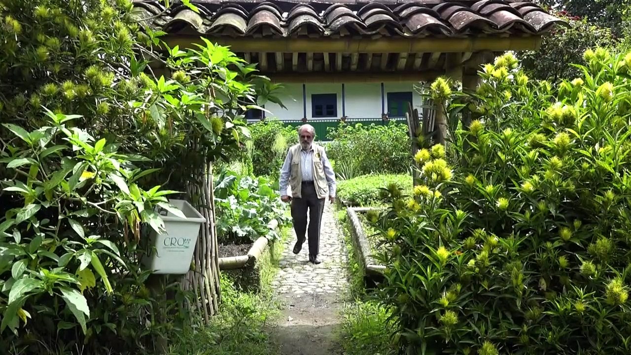 In quarantäne im botanischen garten