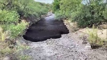 Orman yangını sonrası oluşan balçık seli, görenleri şaşırttı