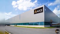 Alice tiles | Ceramic Tiles Manufacturer & Supplier in USA