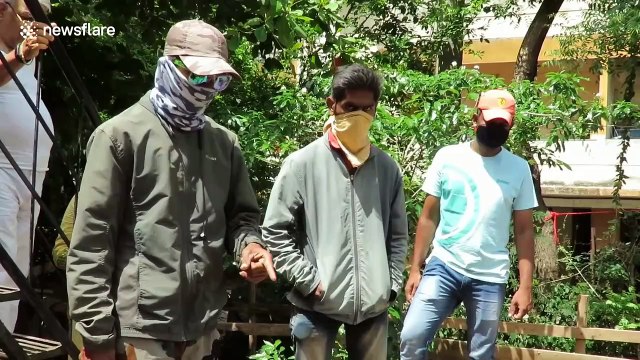 Dehydrated dog is rescued by officials from huge construction pit in India