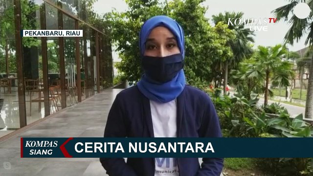 Hanya Sisa 1 Ekor, BBKSDA Riau Evakuasi Gajah Betina