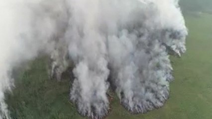 러시아, 140여 건의 대형 산불로 산림 피해 확산 / YTN