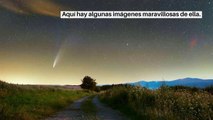 Las más bellas imágenes del cometa Neowise