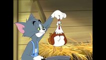 Tom and Jerry session 1 | Tom and Jerry new cartoon | please watch on All Cartoon on my channel | Tom andJerry Cartoon | Tom and Jerry Telish of Boberang | Voot kids |