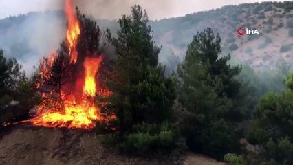 Adıyaman'da korkutan orman yangını