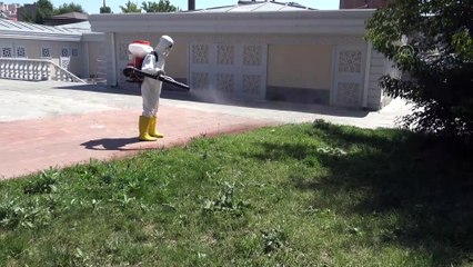 Böcek ve haşerelere karşı belediye ekipleri seferber oldu - KARS