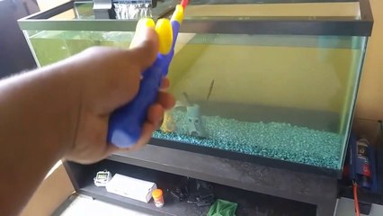 BASS Fishing inside AQUARIUM!