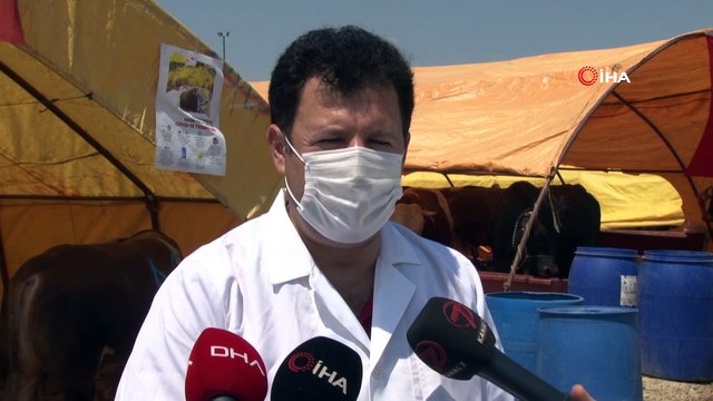 Ankara İl Tarım ve Orman Müdürlüğü'nden Kurban Bayramı öncesi denetim