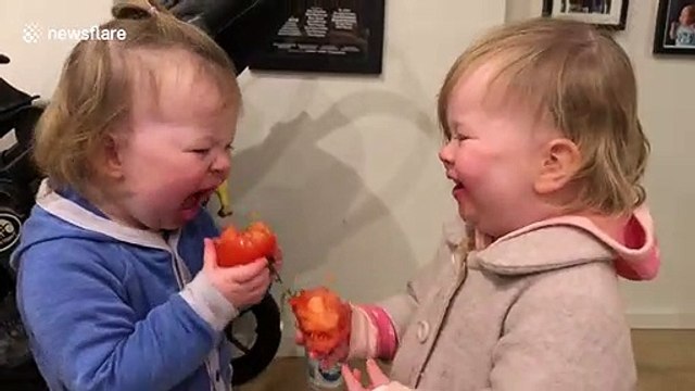 Australian twins have uncontrollable giggles in cute encounter
