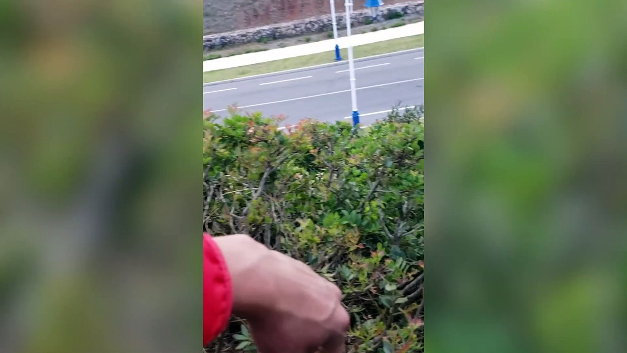 Farmer and his goat have hilarious conversation