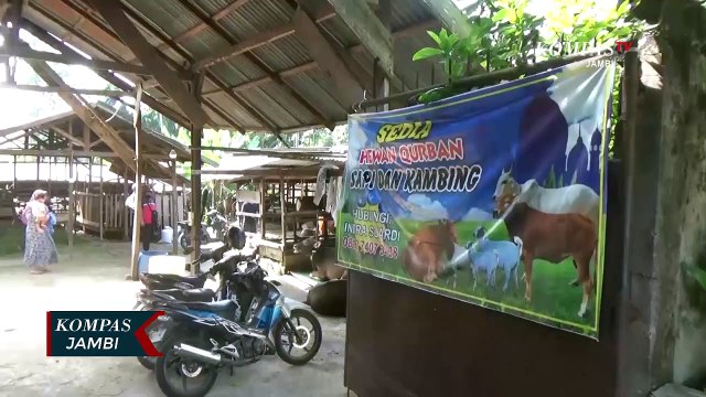 Penjualan Hewan Kurban Menurun