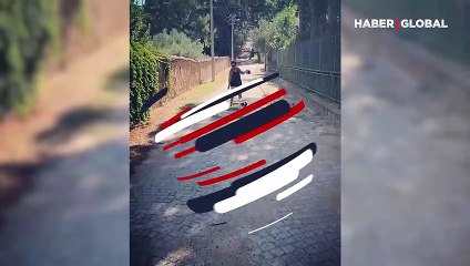 Hülya Avşar 3 köpeğiyle zor anlar yaşadı