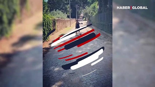 Hülya Avşar 3 köpeğiyle zor anlar yaşadı