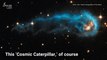 Adorable 'Cosmic Caterpillar' is a Hungry, Wanna-Be Star