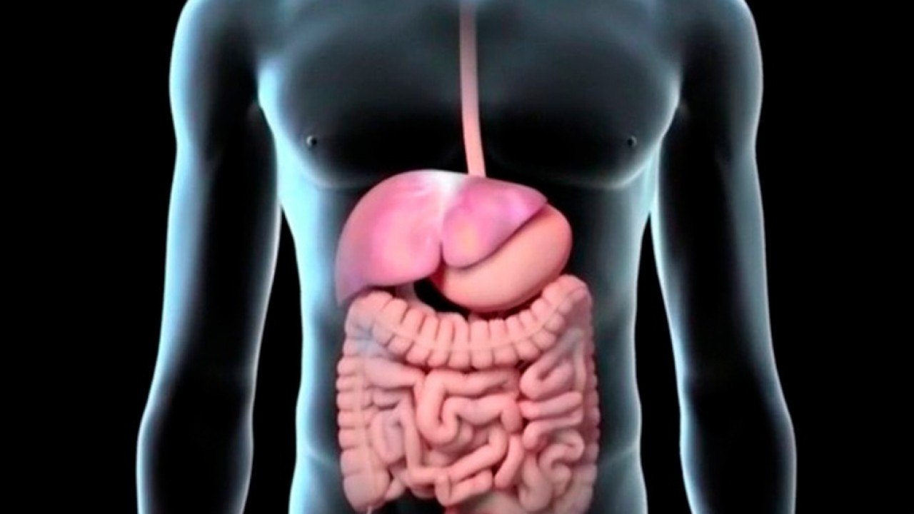 bd-diferencias-entre-hepatitis-a-b-y-c-280720