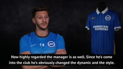 Lallana spellbound by Potter's Brighton