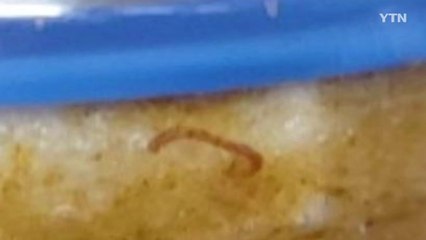 대구 공장 수돗물서 나방파리 유충 신고...외부 유입 추정 / YTN