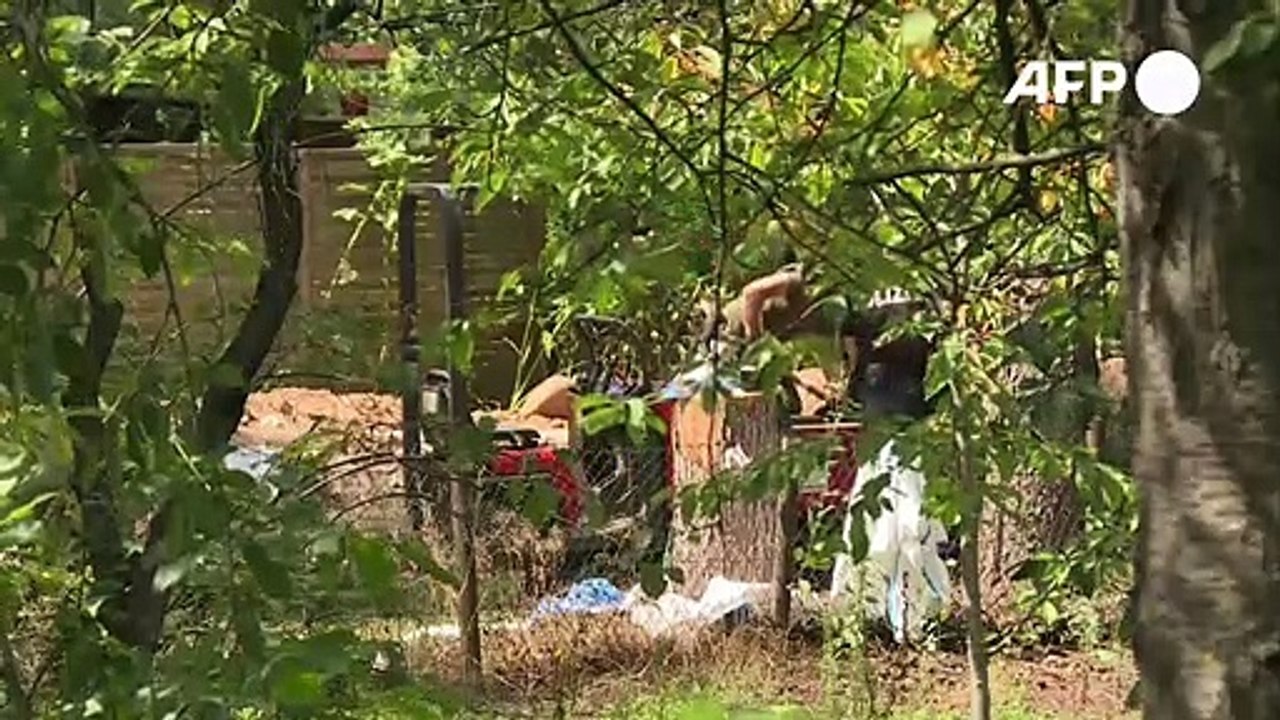 Vermisste Maddie: Schrebergarten bei Hannover durchsucht