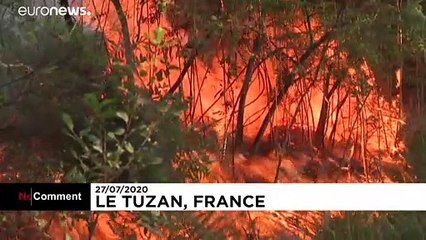 Firefighters tackle forest blaze in France's south-west Gironde region