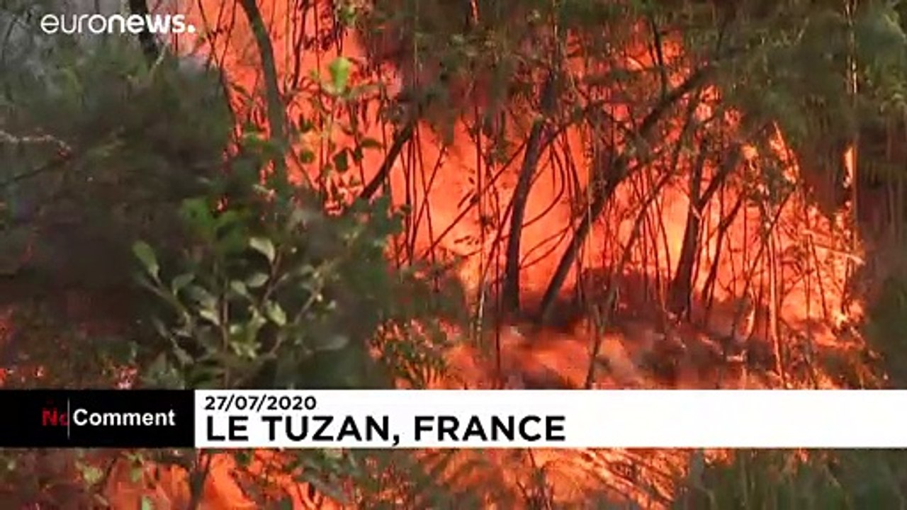 Gironde: Waldbrand vernichtet hunderte Hektar Pinienwald