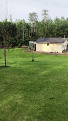 Dad Giving Instructions on How to Drive a Go-Kart Almost Backfires