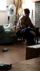 Cute Adopted Cat Asks For Attention