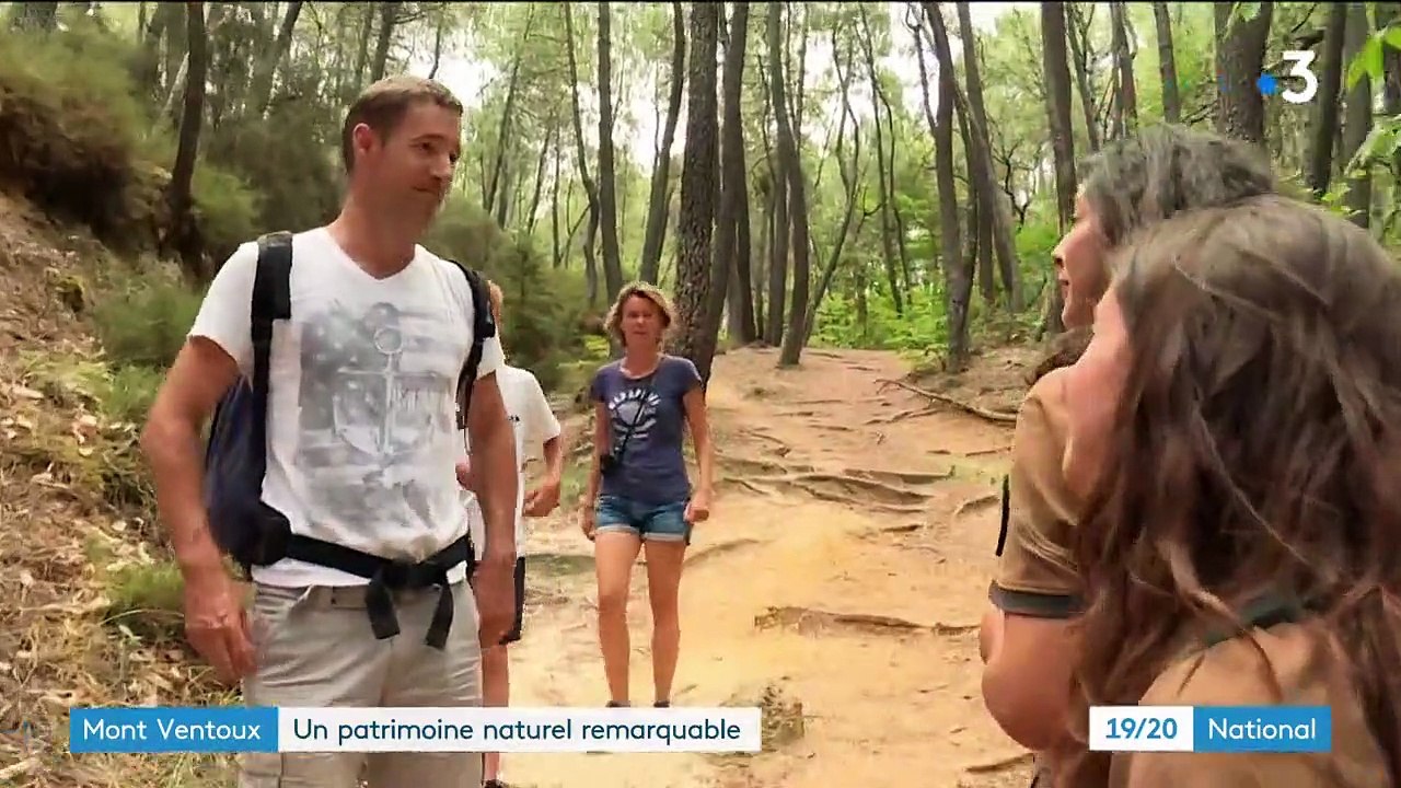 Mont Ventoux : le Géant de Provence devient un Parc Naturel Régional