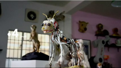 Caméras espions en terre animale - bande annonce