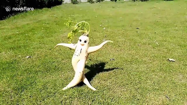 Chinese man transforms vegetables and fruits into vivid animals sculptures